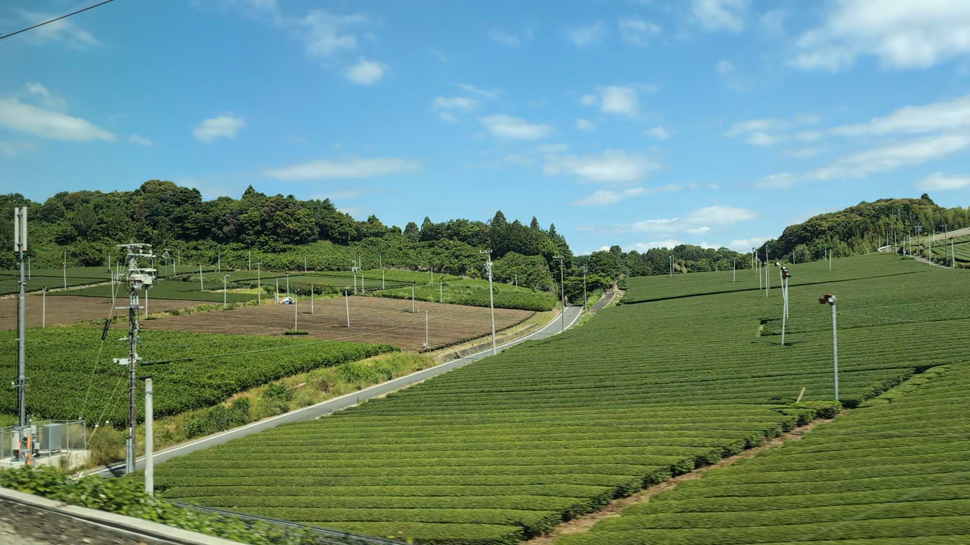 静岡の茶畑の新幹線車窓写真
