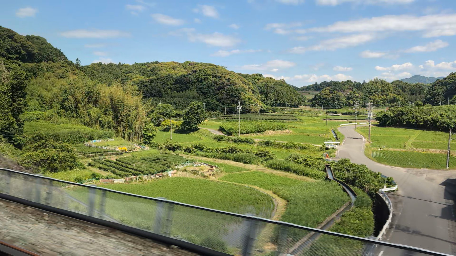 新幹線から見える静岡の茶畑