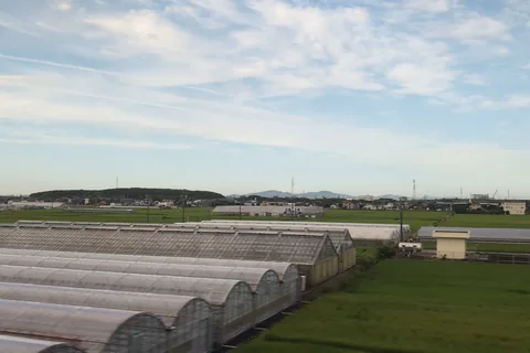 Tejados redondeados de invernaderos cerca del tren, con tejados puntiagudos y campos verdes al fondo